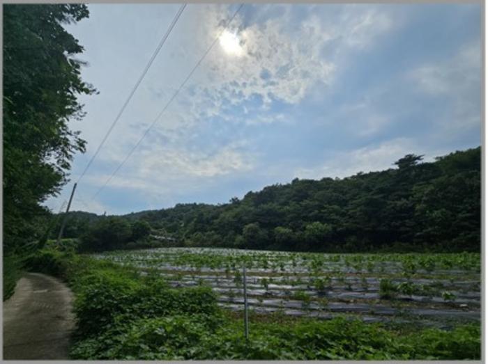 법원경매 2024타경387 사진2 | 의성군 옥산면 실업리 1020-1 임야 경매