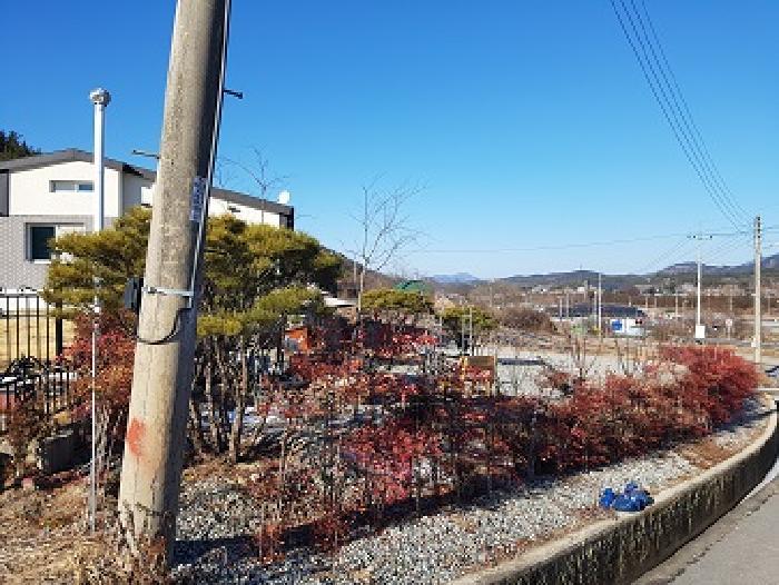 법원경매 2025타경87 사진9 | 대구 군위군 산성면 화본리 1118 단독주택 경매