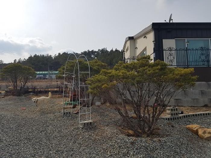 법원경매 2025타경87 사진12 | 대구 군위군 산성면 화본리 1118-7 전 경매