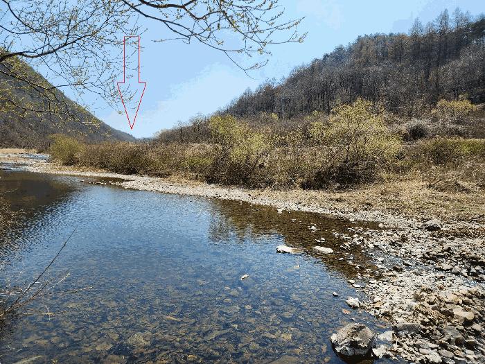 법원경매 2025타경209 사진5 | 청송군 부남면 전 경매