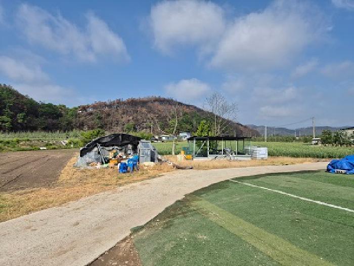 법원경매 2025타경10172 사진5 | 의성군 단촌면 병방리 968-62 하천 경매