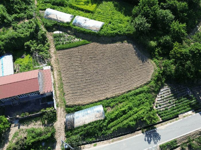 2025타경33461 법원경매 사진3 | 전남 나주시 임야 경매