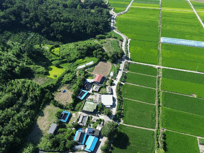 2025타경33461 법원경매 사진5 | 전남 나주시 임야 경매