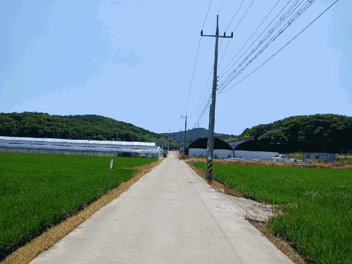 인천광역시 옹진군 영흥면 내리 503-11 법원경매 물건 대표사진