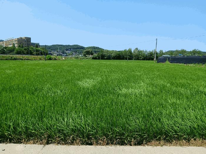 2025타경510444 법원경매 사진19 | 인천 옹진군 전 경매