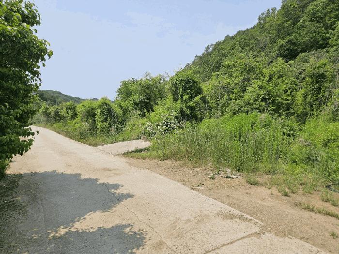 경상북도 의성군 사곡면 신감리 196-3 법원경매 물건 대표사진
