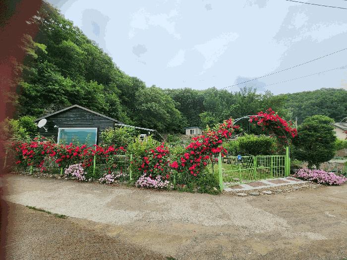 대구광역시 군위군 산성면 무암리 산134 법원경매 물건 대표사진