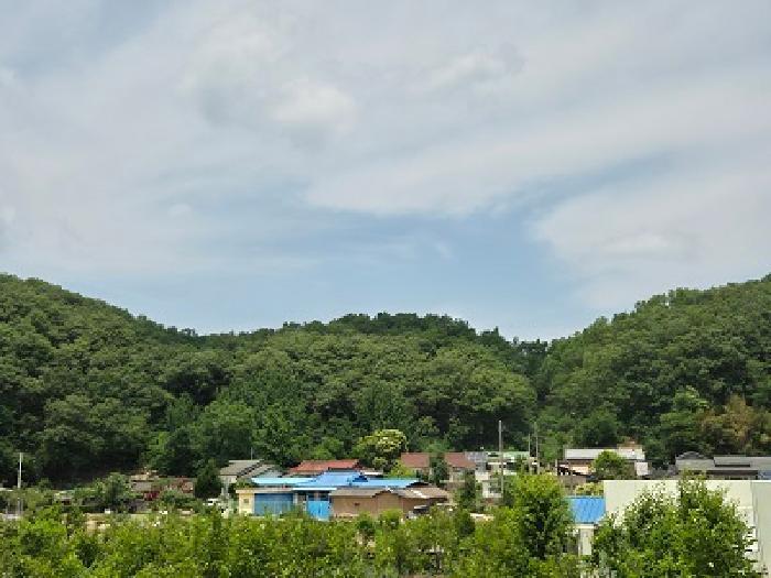 법원경매 2025타경10192 사진10 | 대구 군위군 산성면 무암리 임야 경매