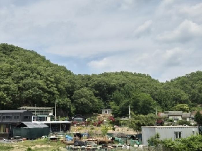 법원경매 2025타경10192 사진11 | 대구 군위군 산성면 무암리 임야 경매