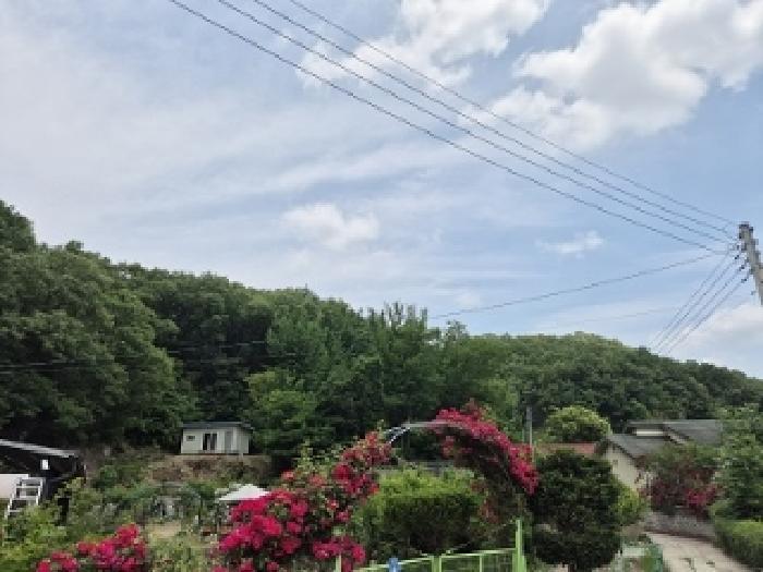 법원경매 2025타경10192 사진12 | 대구 군위군 산성면 무암리 임야 경매
