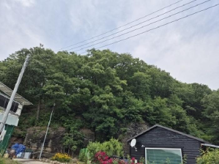 법원경매 2025타경10192 사진13 | 대구 군위군 산성면 무암리 임야 경매