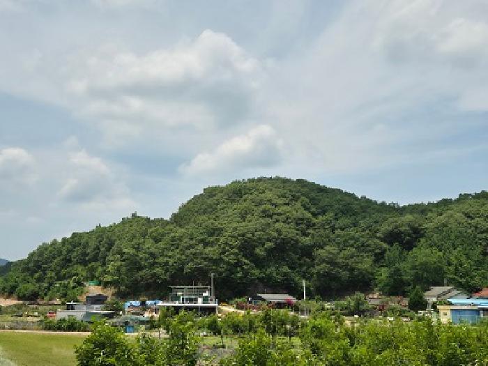 법원경매 2025타경10192 사진9 | 대구 군위군 산성면 무암리 임야 경매