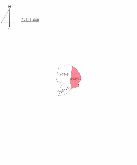 법원경매 2025타경10200 사진8 | 의성군 안평면 도옥리 205-10 대지 경매