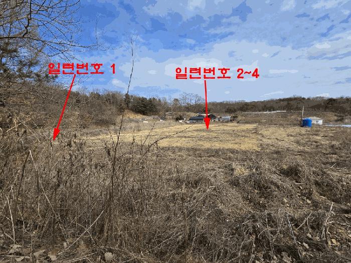 법원경매 2025타경62353 사진2 | 고양시 덕양구 현천동 417-1 답 경매