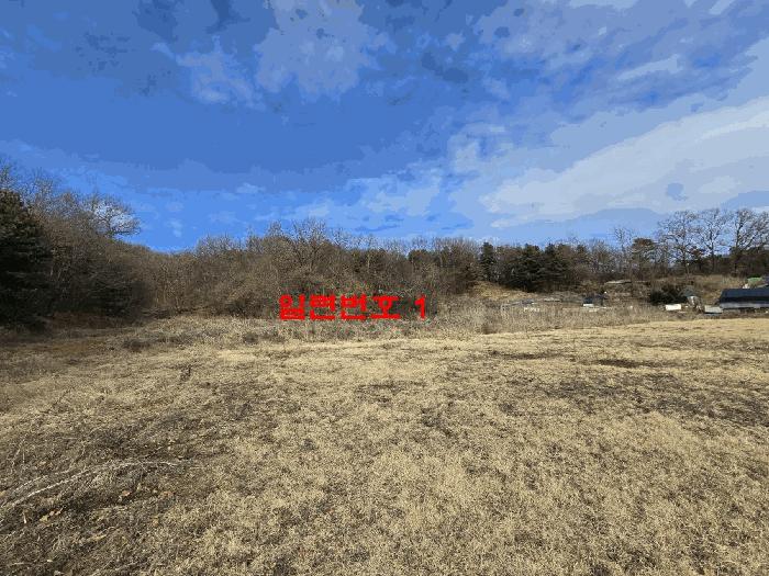법원경매 2025타경62353 사진8 | 고양시 덕양구 현천동 417-1 답 경매