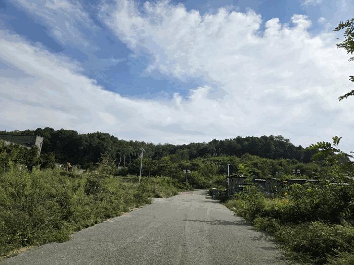 2025타경3867 법원경매 사진7 | 세종 연동면 임야 경매