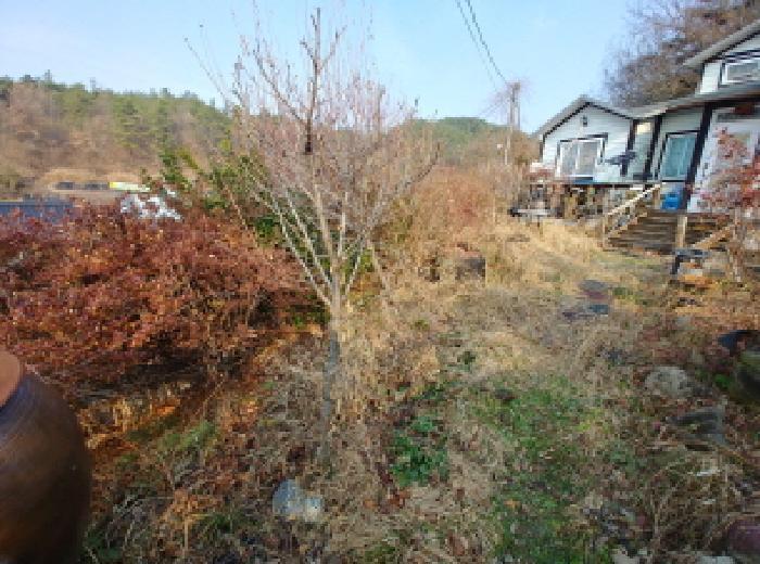 2025타경3987 법원경매 사진21 | 충남 금산군 주택건물 경매
