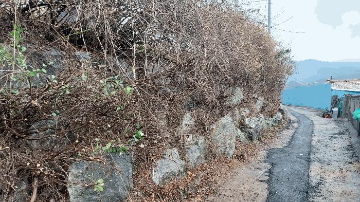 2025타경3987 법원경매 사진4 | 충남 금산군 주택건물 경매