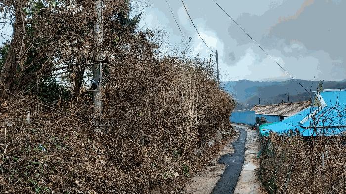 2025타경3987 법원경매 사진7 | 충남 금산군 주택건물 경매