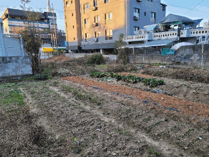2025타경3989 법원경매 사진3 | 대전 대덕구 대지 경매