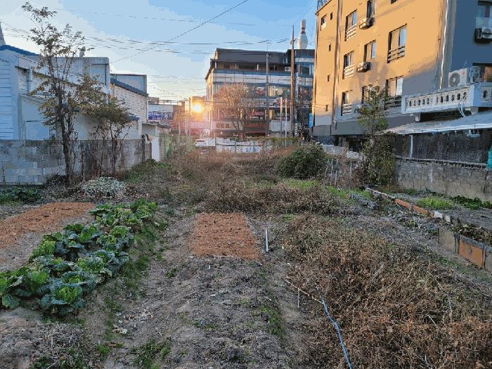 2025타경3989 법원경매 사진6 | 대전 대덕구 대지 경매