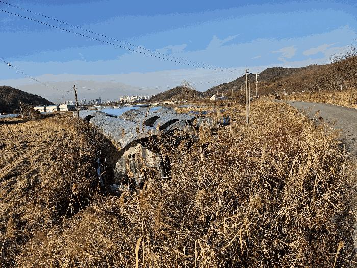세종특별자치시 금남면 도암리 107 법원경매 물건 대표사진