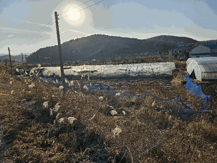 2025타경4022 법원경매 사진24 | 세종 금남면 답 경매
