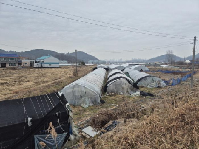 2025타경4022 법원경매 사진28 | 세종 금남면 답 경매