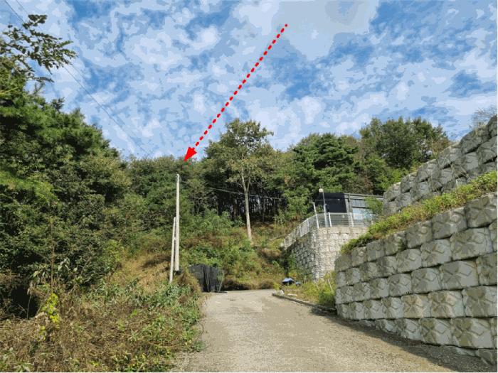 2025타경503492 법원경매 사진4 | 세종 장군면 임야 경매