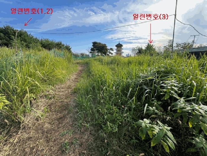 2025타경503552 법원경매 사진3 | 대전 유성구 전 경매