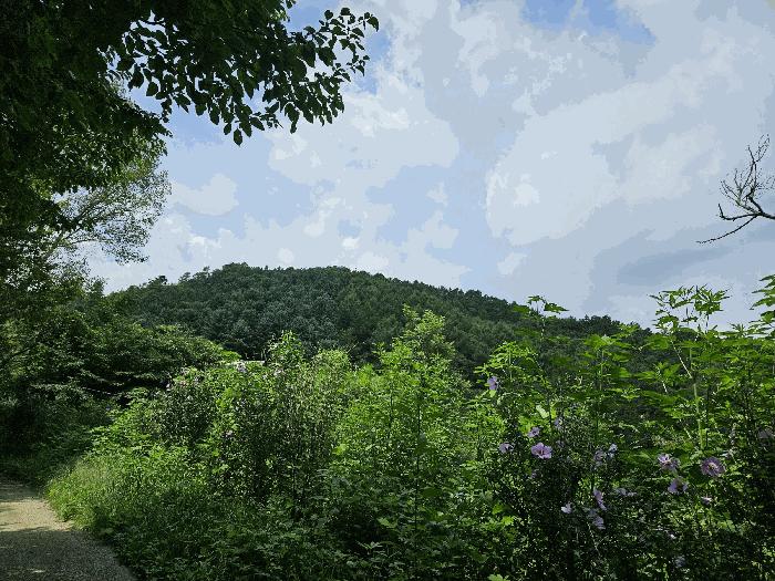 법원경매 2025타경72924 사진3 | 포천시 내촌면 내리 임야 경매