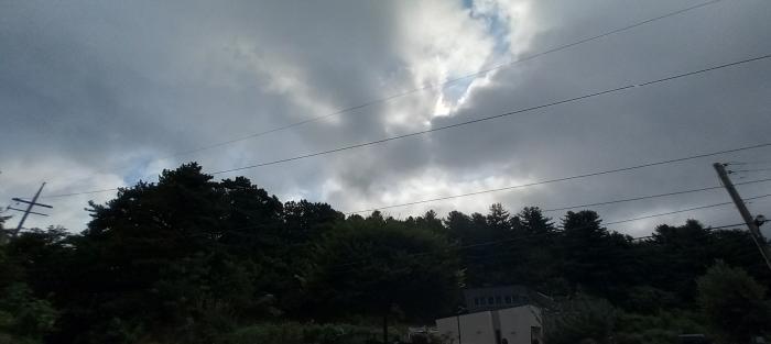 법원경매 2025타경72924 사진6 | 포천시 내촌면 내리 임야 경매