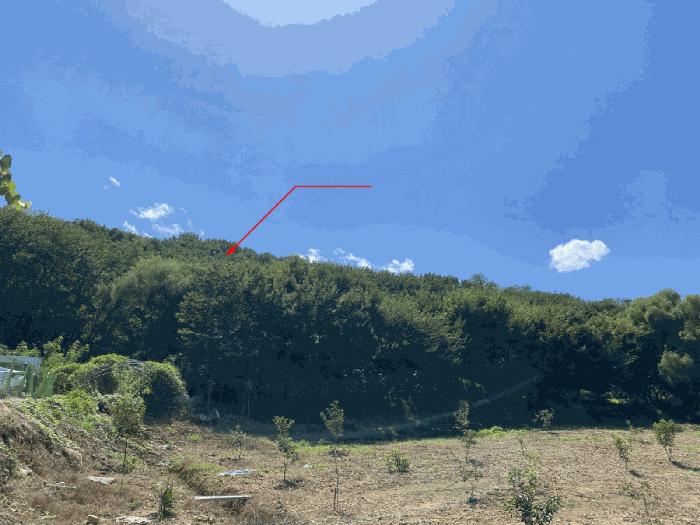 대구광역시 달성군 논공읍 위천리 32 법원경매 물건 대표사진