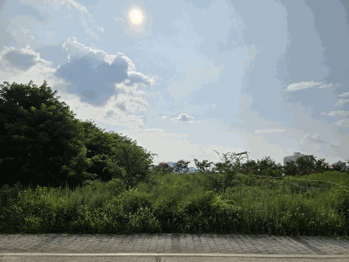 대구광역시 달성군 유가읍 상리 943-4 법원경매 물건 대표사진