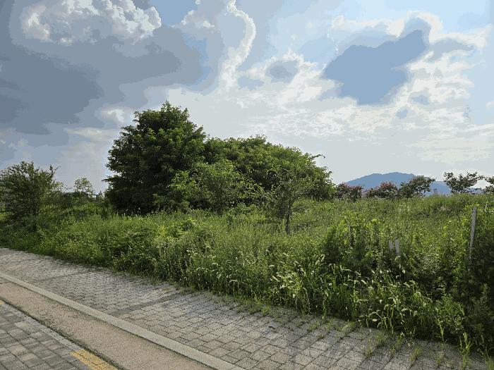 법원경매 2025타경2528 사진2 | 대구 달성군 유가읍 상리 943-4 대지 경매