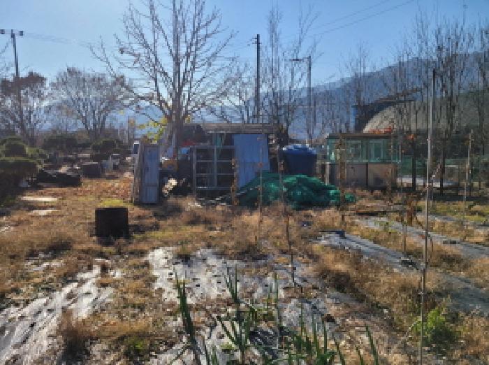 법원경매 2025타경3477 사진13 | 대구 달성군 가창면 행정리 883-4 과수원 경매