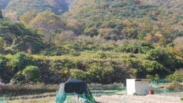 2024타경106316 법원경매 사진17 | 창원 마산합포구 전 경매