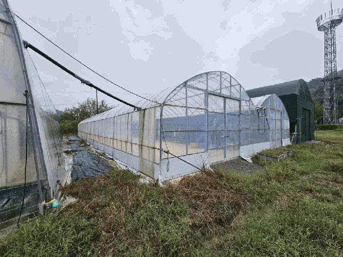 2025타경304 법원경매 사진3 | 경남 함안군 전답 경매