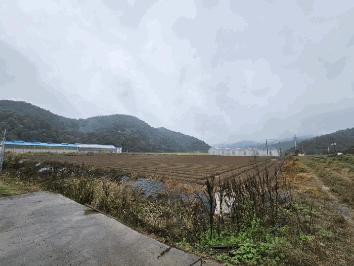 2025타경304 법원경매 사진6 | 경남 함안군 전답 경매