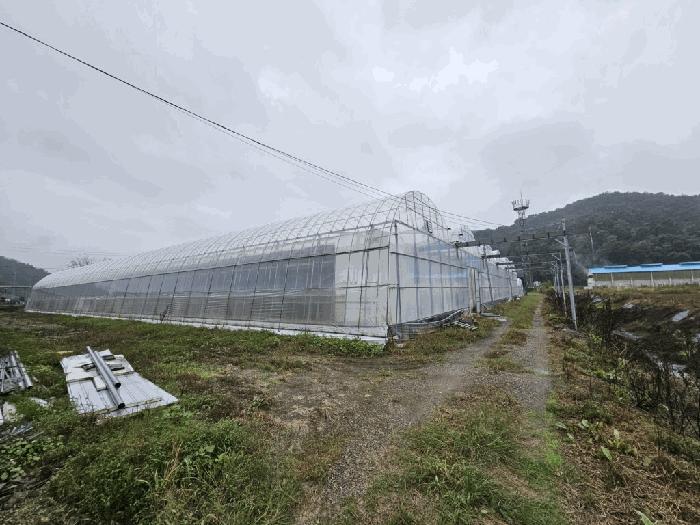 경상남도 함안군 대산면 장암리 449-1 법원경매 물건 대표사진