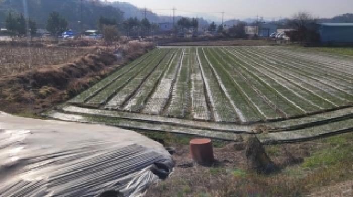 2025타경347 법원경매 사진5 | 경남 함안군 답 경매