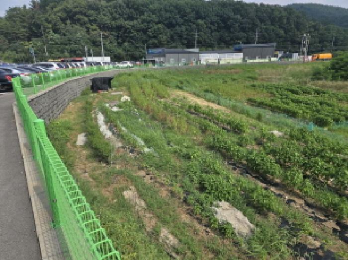 경상북도 영천시 금호읍 신월리 29 법원경매 물건 대표사진
