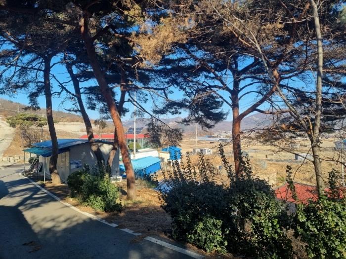 인천광역시 강화군 삼산면 매음리 939-5 법원경매 물건 대표사진