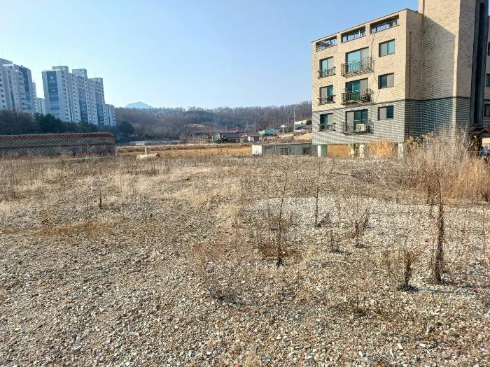 2024타경501573 법원경매 사진3 | 인천 강화군 답 경매