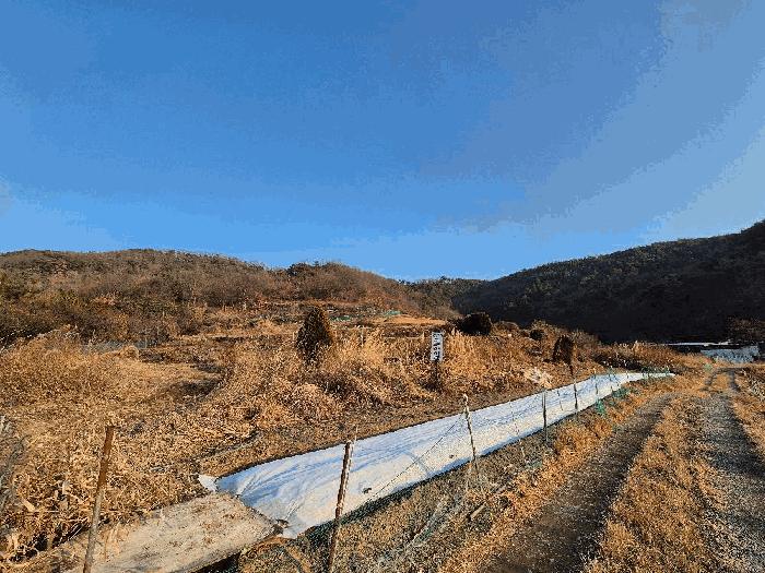 경상남도 함안군 대산면 장암리 43-2 법원경매 물건 대표사진