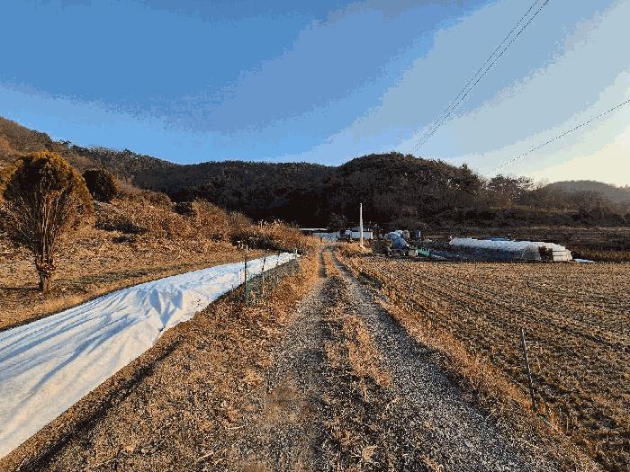 2025타경21083 법원경매 사진5 | 경남 함안군 전 경매