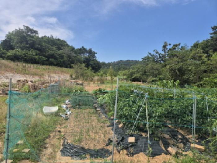2025타경1195 법원경매 사진2 | 울산 울주군 과수원 경매