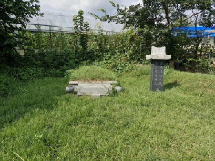 법원경매 2025타경53041 사진10 | 안산시 단원구 신길동 327-1 전 경매