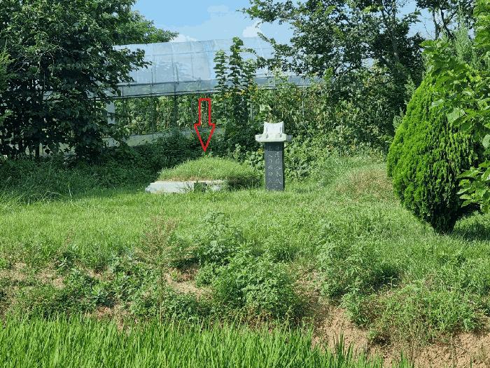 법원경매 2025타경53041 사진3 | 안산시 단원구 신길동 327-1 전 경매