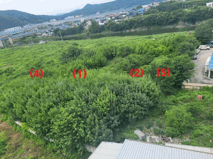 법원경매 2025타경8658 사진5 | 영천시 금노동 565-2 답 경매